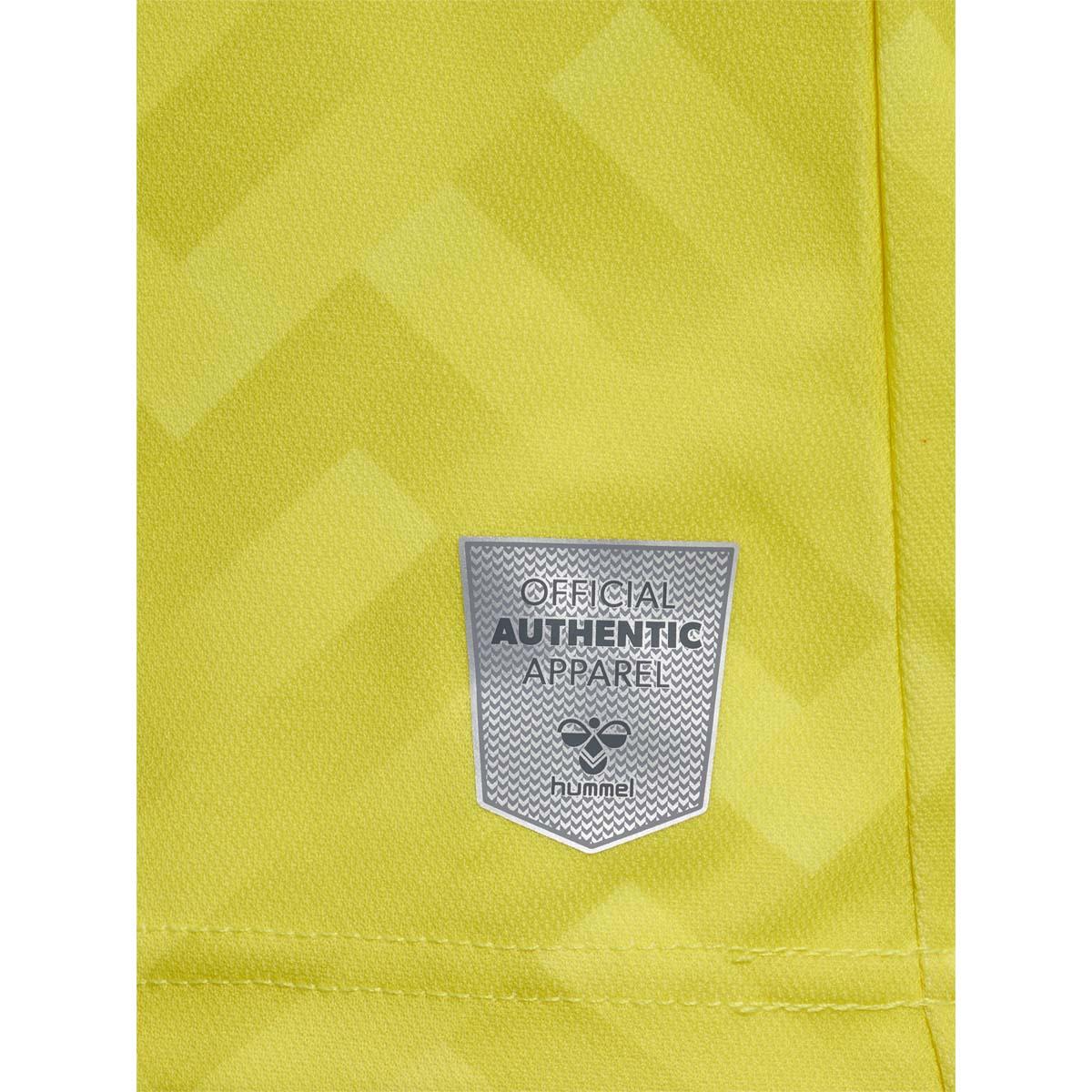 Danmark 2023 Målmandstrøje BLAZING YELLOW