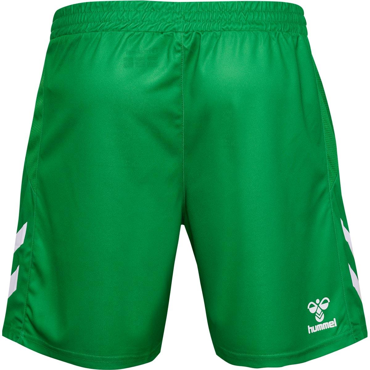 Danmark 2023 Målmandsshorts FERN GREEN