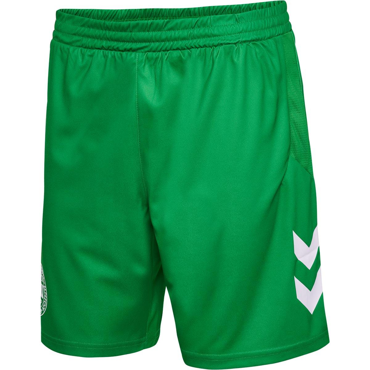 Danmark 2023 Målmandsshorts FERN GREEN
