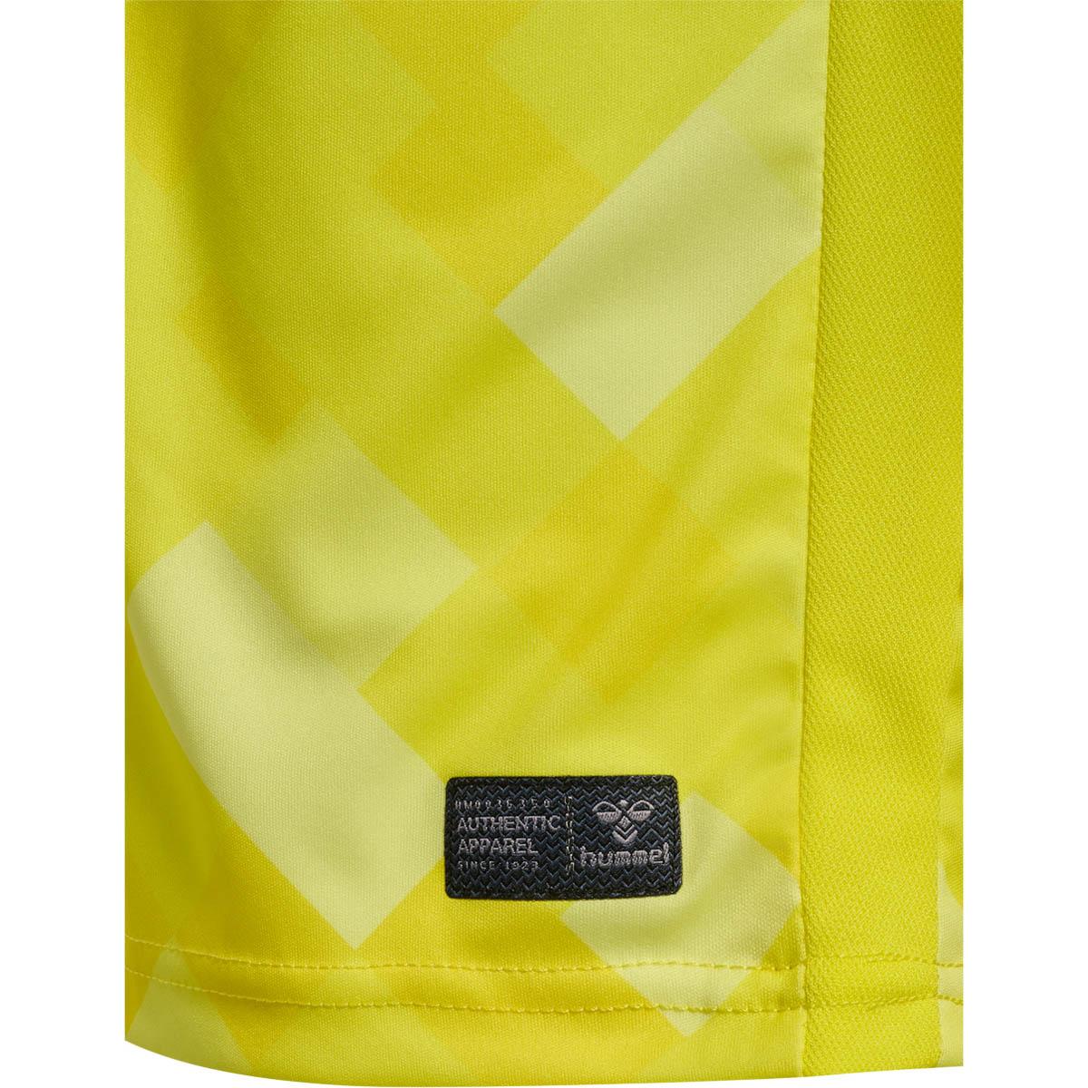 Danmark 24/25 Målmandstrøje BLAZING YELLOW