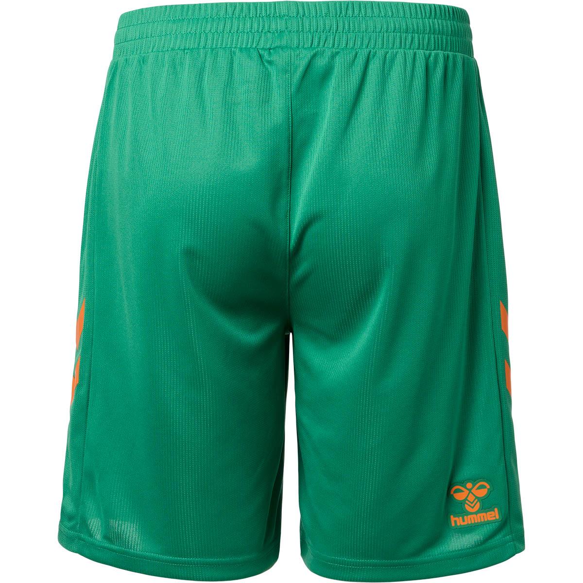 Esbjerg fB 25/26 Målmandsshorts Green