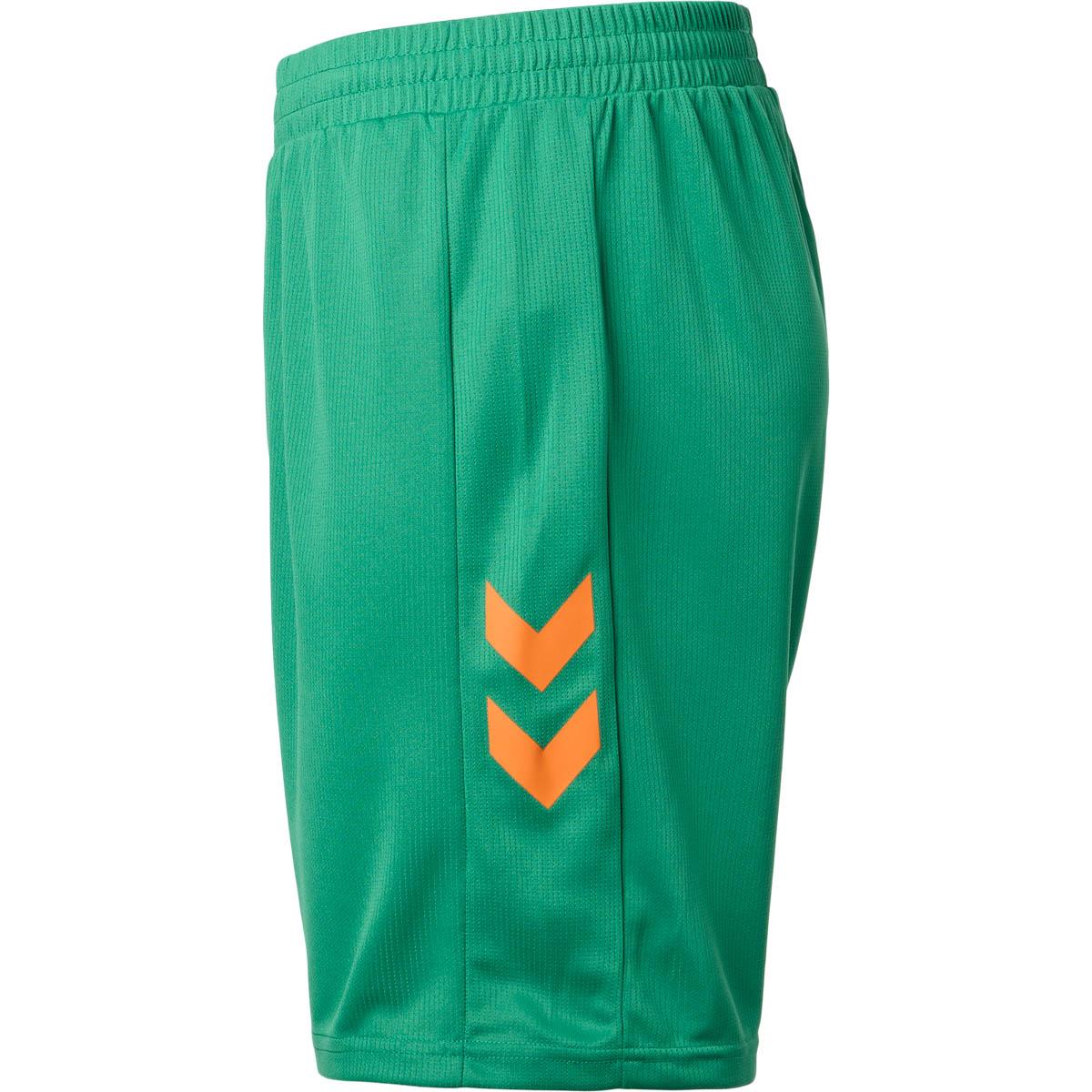 Esbjerg fB 25/26 Målmandsshorts Green
