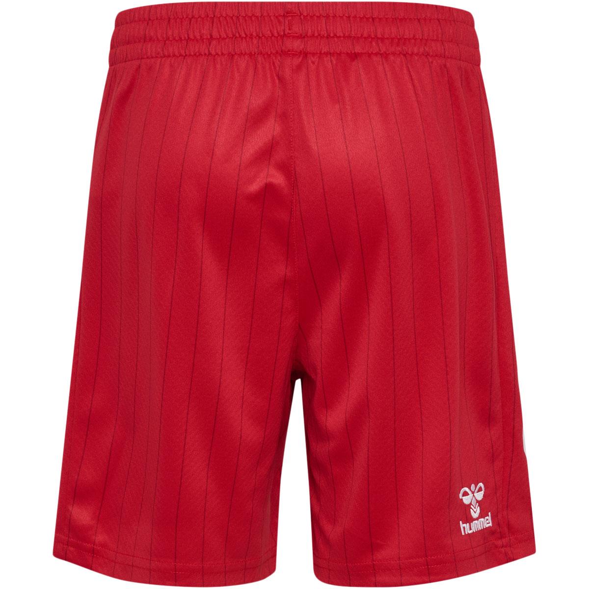 Danmark 26/27 Udebane Landsholdsshorts Børn Red