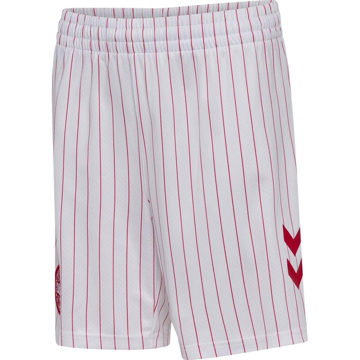 Danmark 26/27 Udebane Landsholdsshorts Børn White