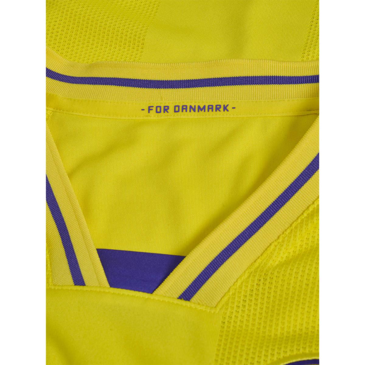 Danmark 26/27 Målmandstrøje Yellow/Blue