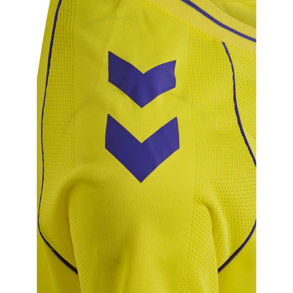 Danmark 26/27 Målmandstrøje Børn Yellow/Blue