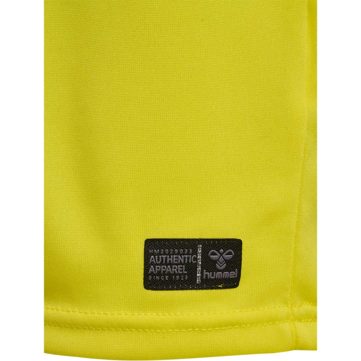 Danmark 26/27 Målmandstrøje Børn Yellow/Blue