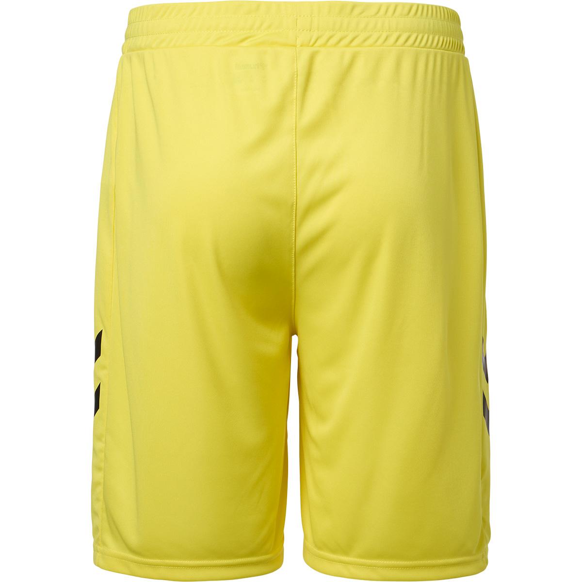 FC Fredericia 26/27 Keepershorts 5269