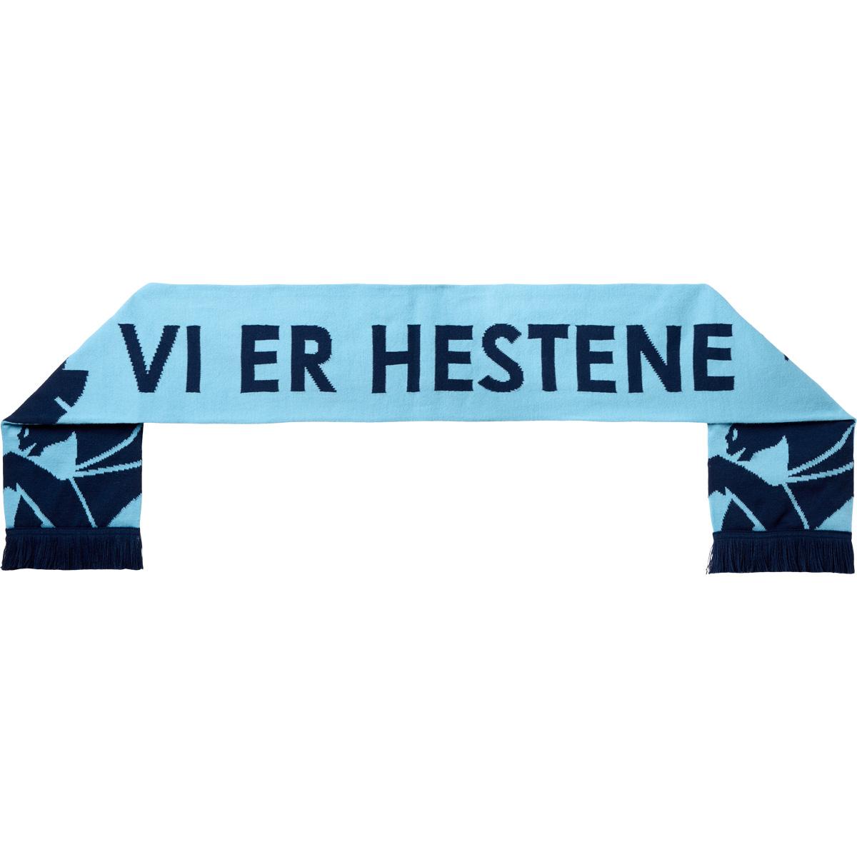 Randers FC Skjerf Blue