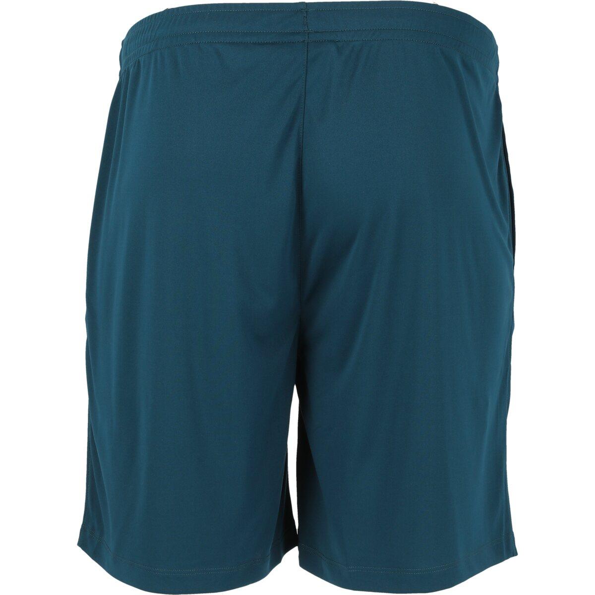 FZ FORZA Landos v2 Badmintonshorts Herre Blue