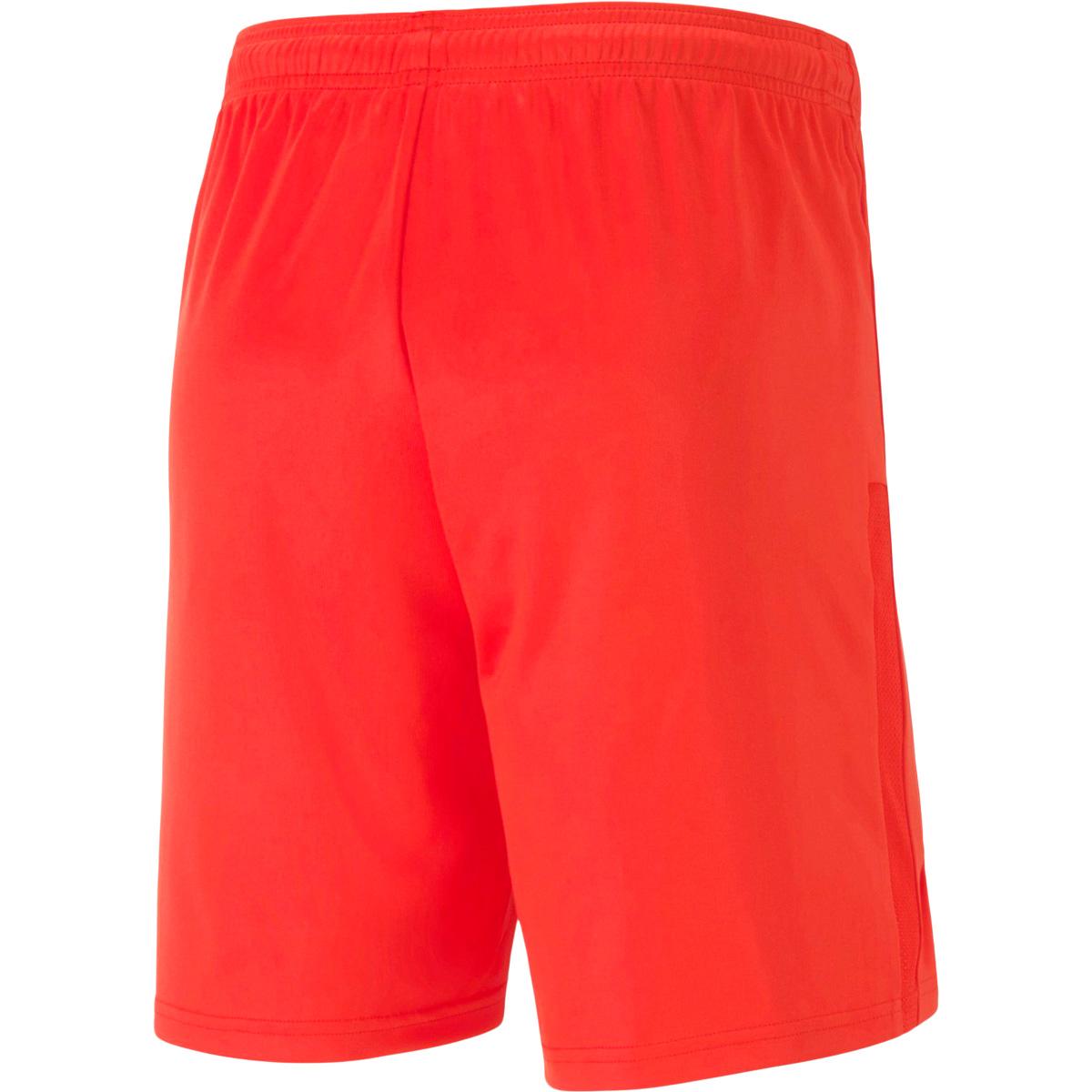 PUMA teamGOAL 23 Træningsshorts Puma Red