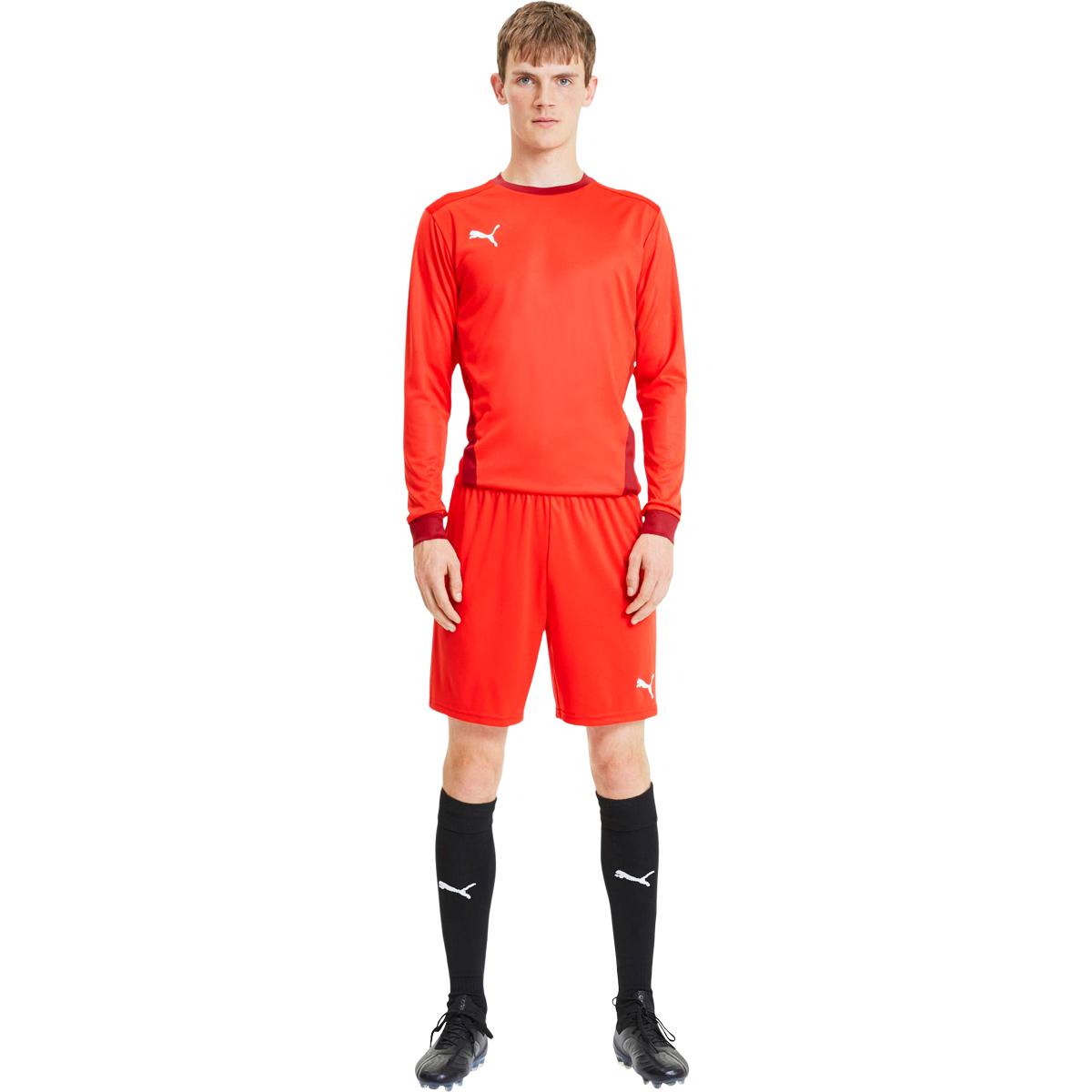 PUMA teamGOAL 23 Træningsshorts Puma Red