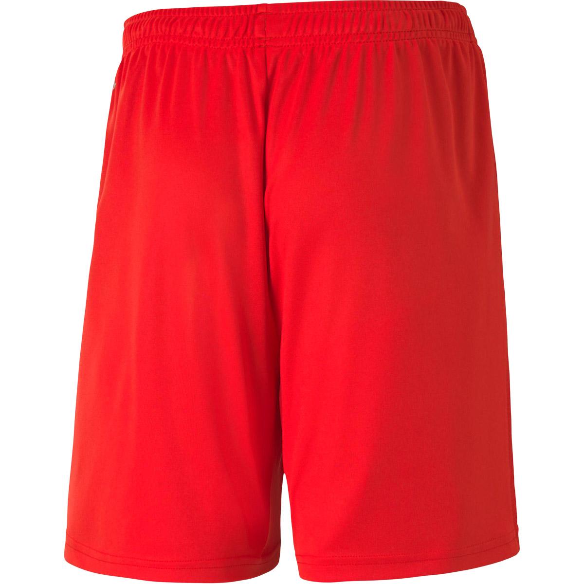 PUMA teamGOAL 23 Træningsshorts Børn Puma Red