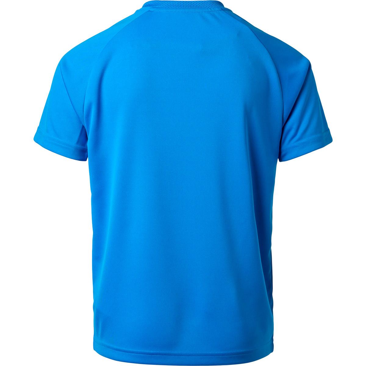 PUMA teamLIGA Striped Trænings T-shirt Børn Blue/White