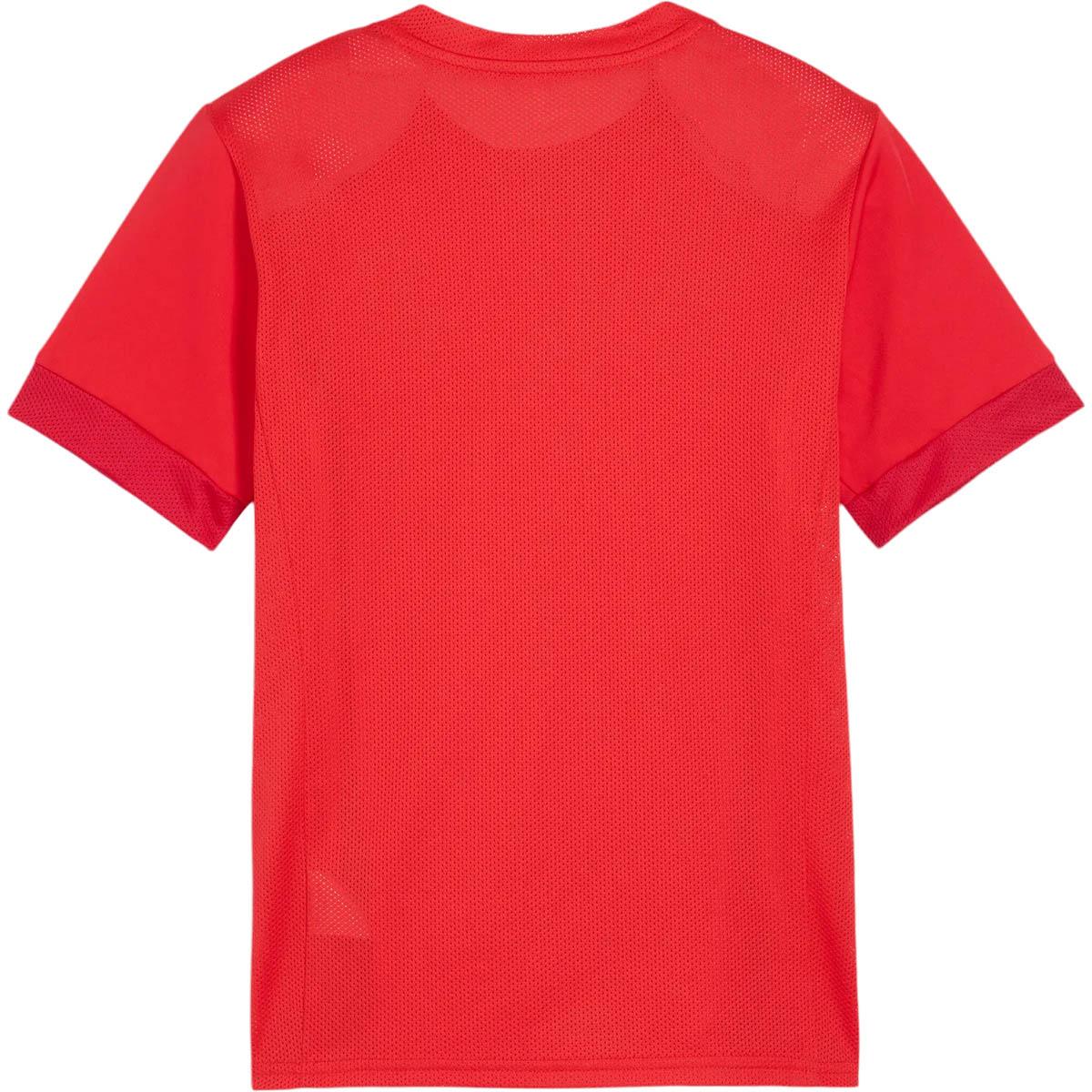 PUMA teamGOAL Matchday Trenings T-skjorte Barn Red