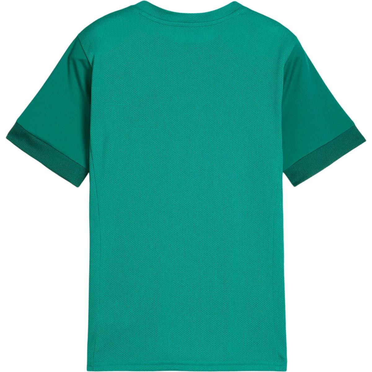 PUMA teamGOAL Matchday Trenings T-skjorte Barn Green