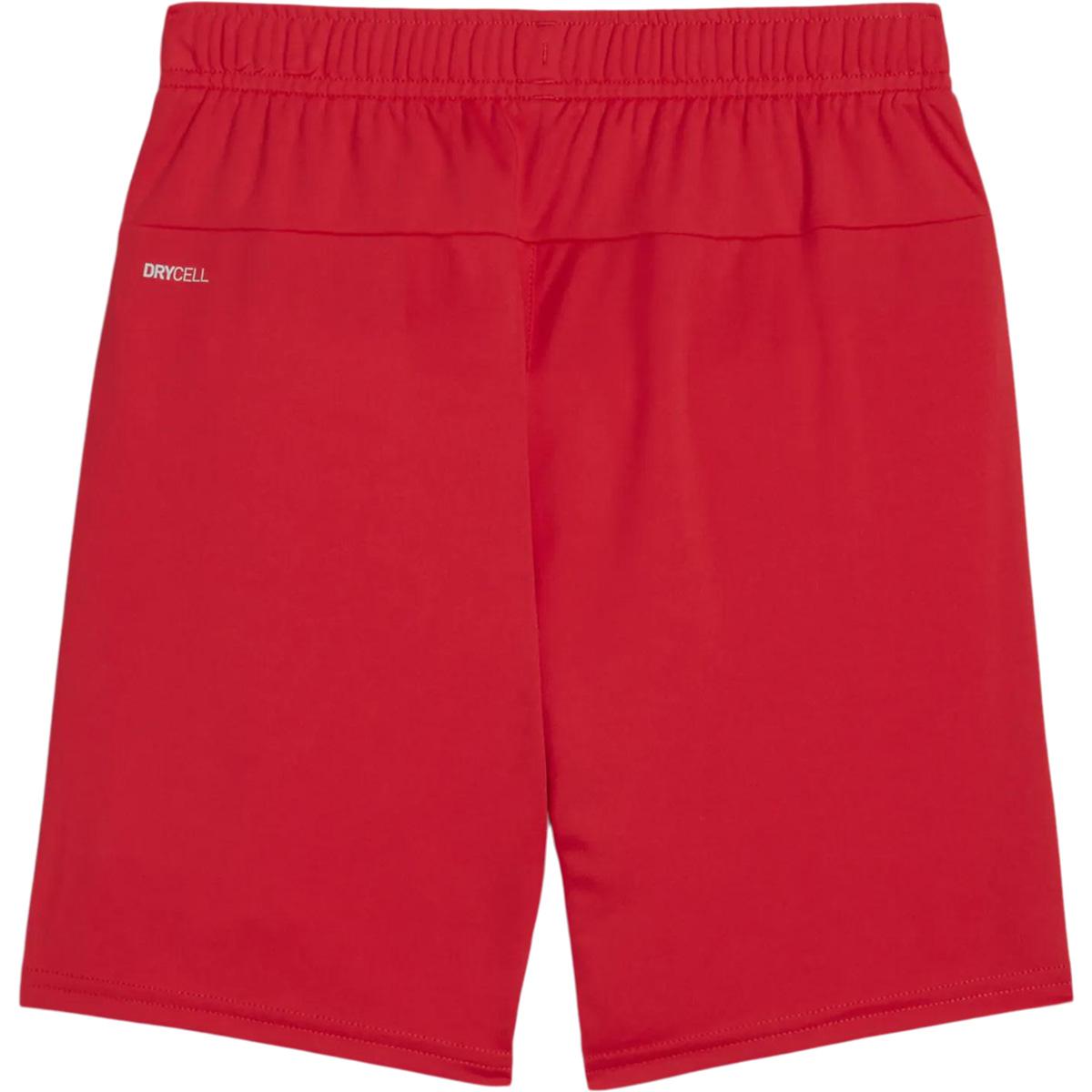 PUMA teamGOAL Træningsshorts Børn PUMA White-PUMA Black-Poison P