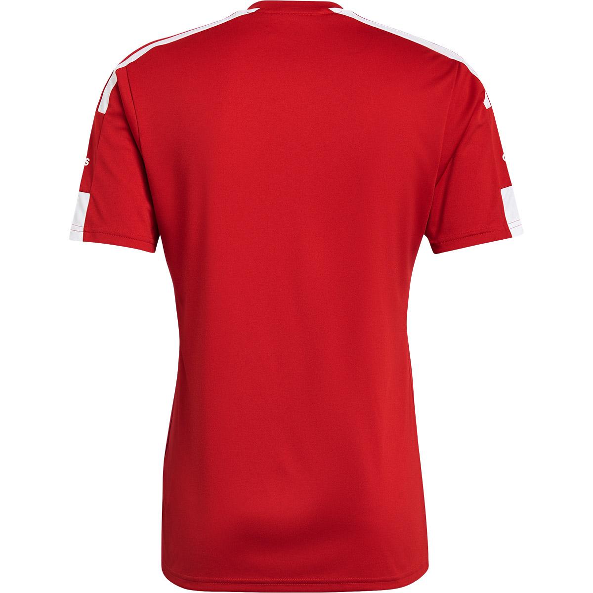 adidas Squadra 21 Trænings T-shirt TMPWRD/WHITE