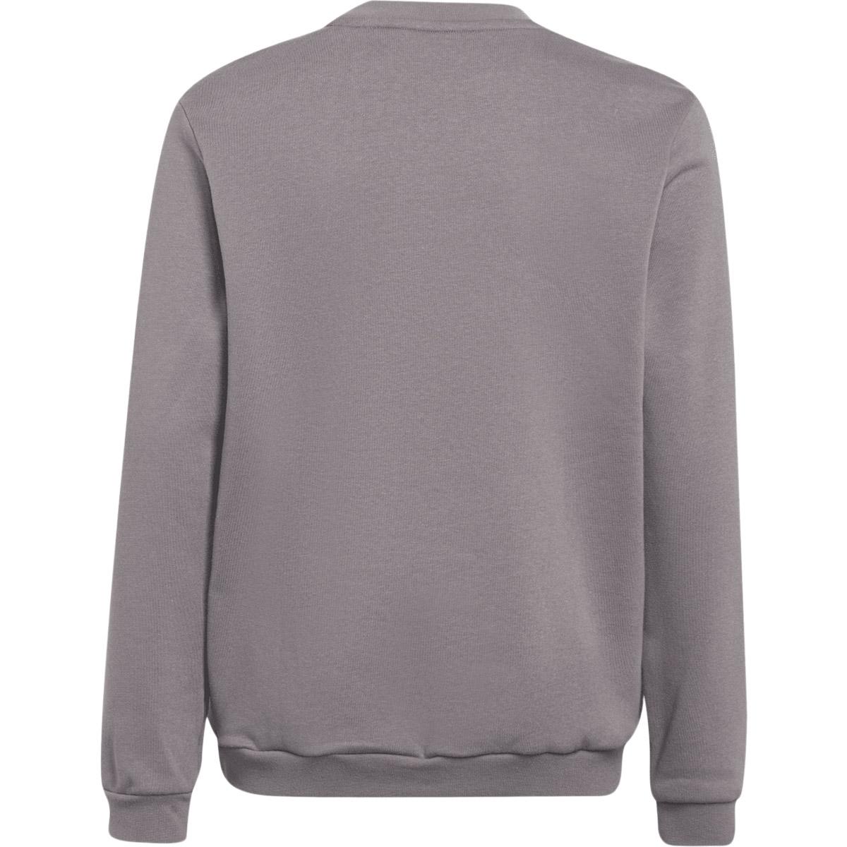 adidas Entrada 22 Sweatshirt Børn TEGRFO