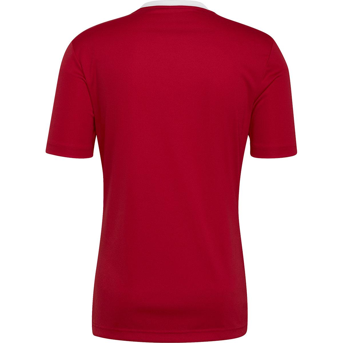 adidas Entrada 22 Trenings T-skjorte TEPORE/CBLACK/FTWWHT