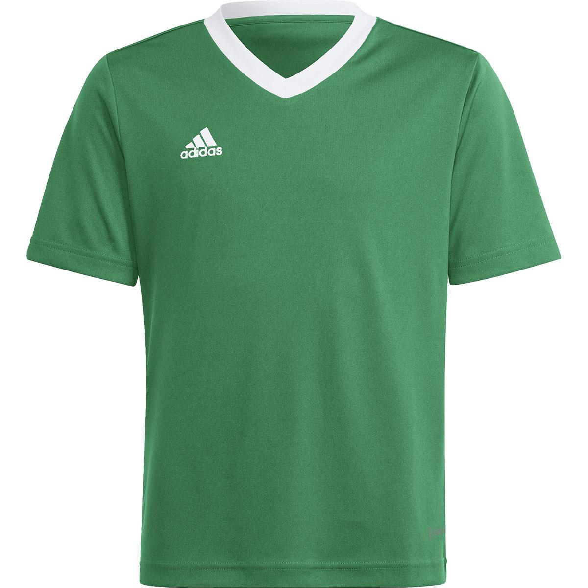 adidas Entrada 22 Trenings T-skjorte Barn TEAGRN/WHITE