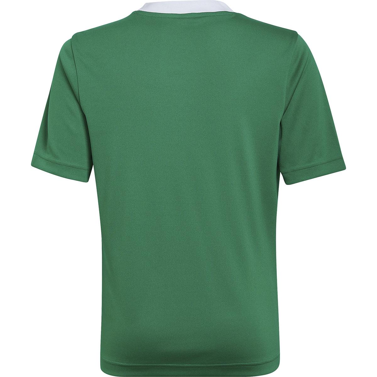 adidas Entrada 22 Trenings T-skjorte Barn TEAGRN/WHITE