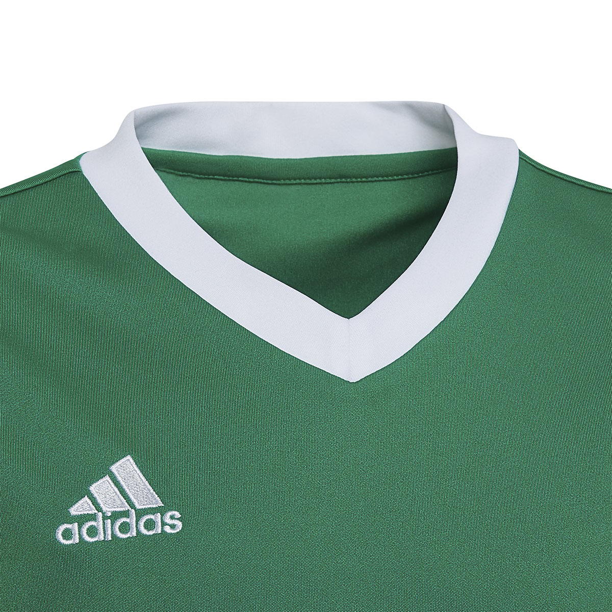 adidas Entrada 22 Trenings T-skjorte Barn TEAGRN/WHITE