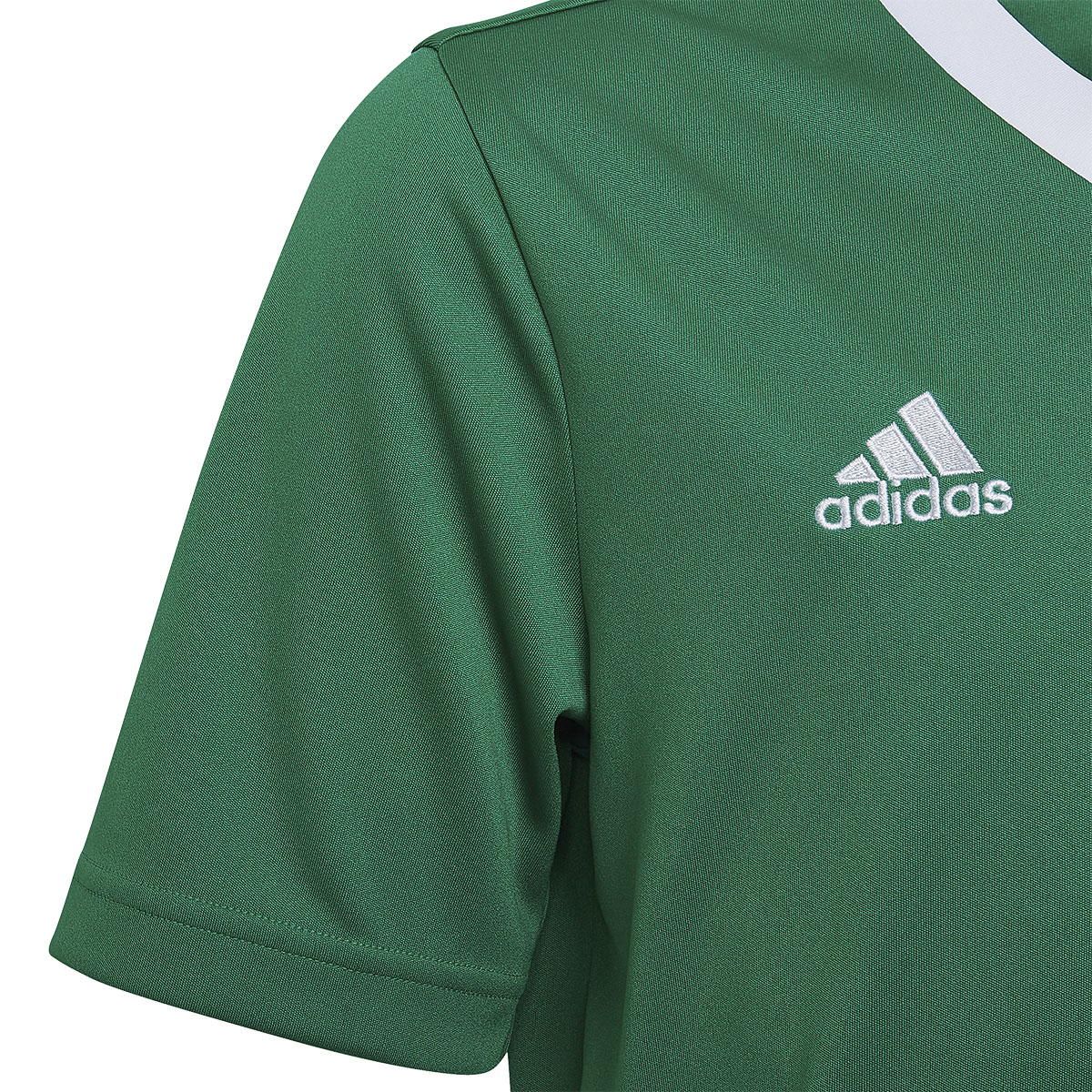 adidas Entrada 22 Trenings T-skjorte Barn TEAGRN/WHITE