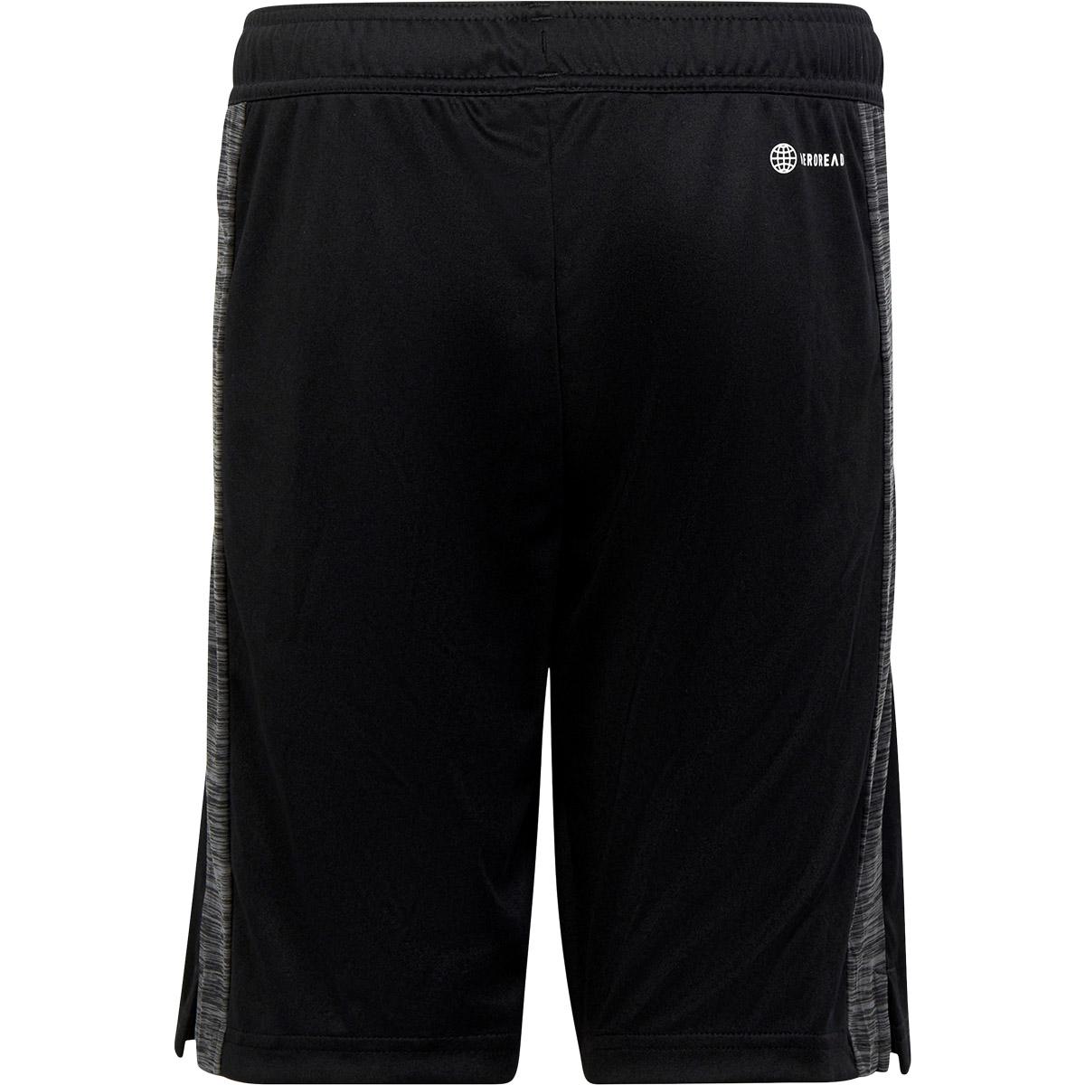 adidas Train Icons Heather Treningsshorts Barn BLACK/WHITE/BLACK