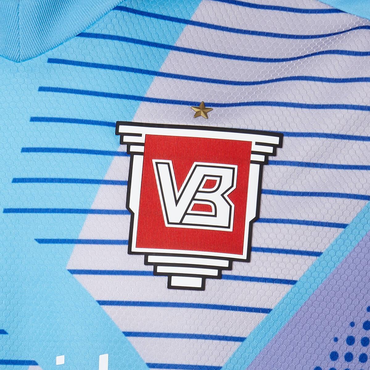 Vejle Boldklub 24/25 Målmandstrøje Blue