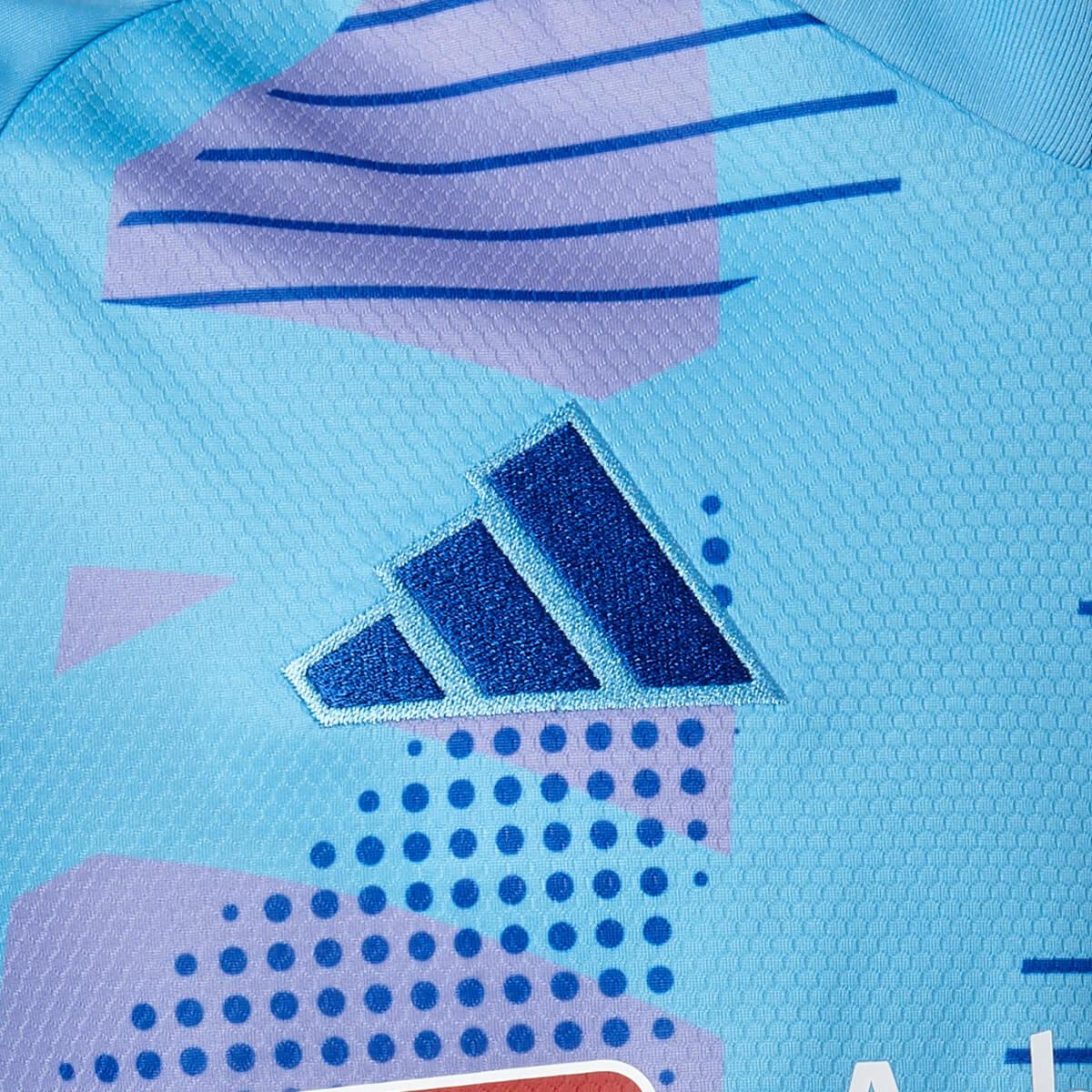 Vejle Boldklub 24/25 Målmandstrøje Blue