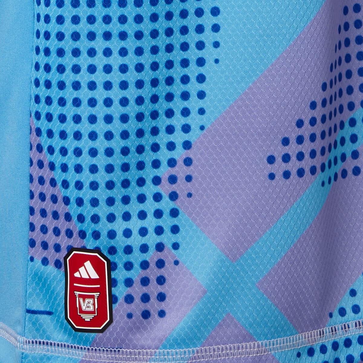Vejle Boldklub 24/25 Målmandstrøje Blue