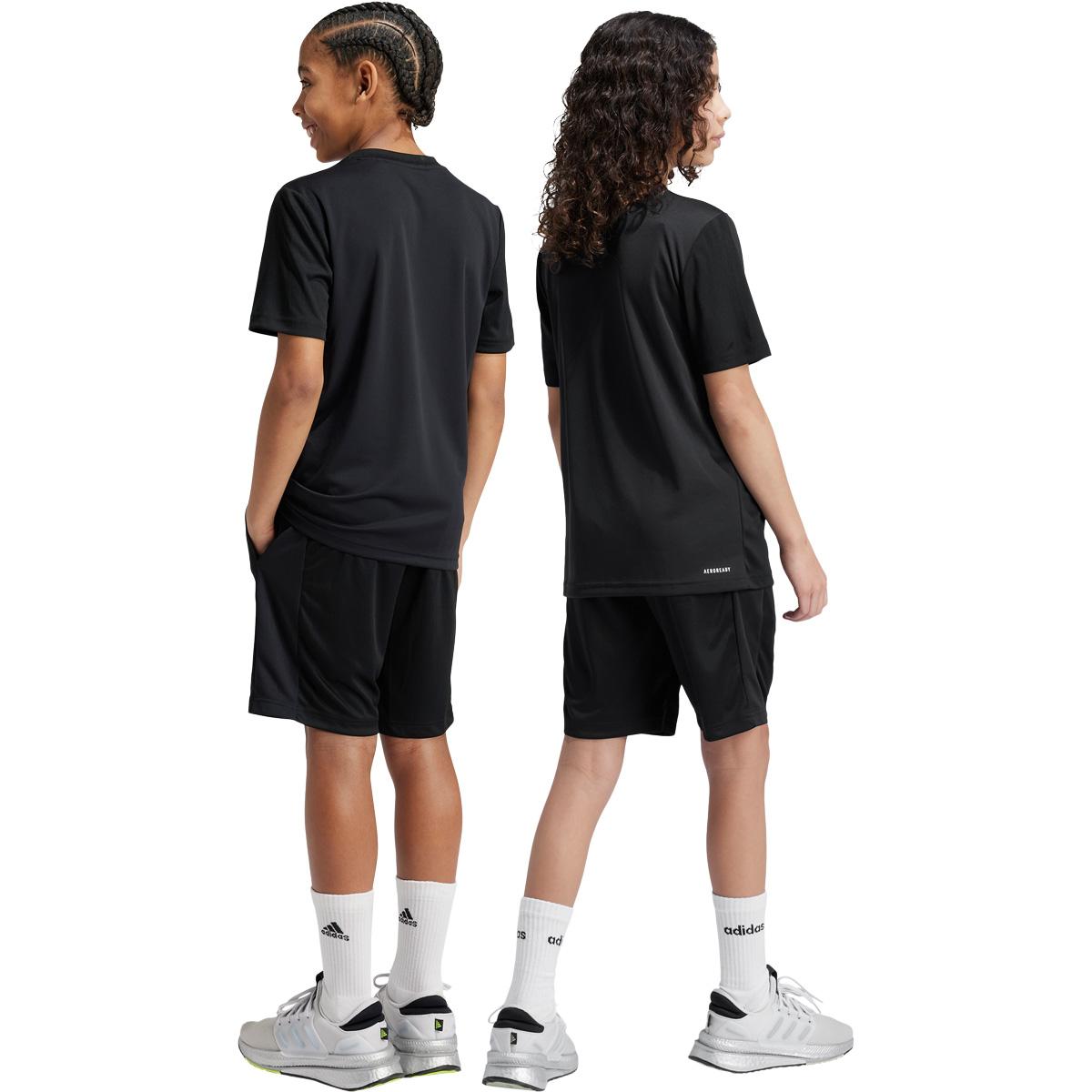 adidas Train Essentials Treningsshorts Barn BLACK/WHITE/BLACK