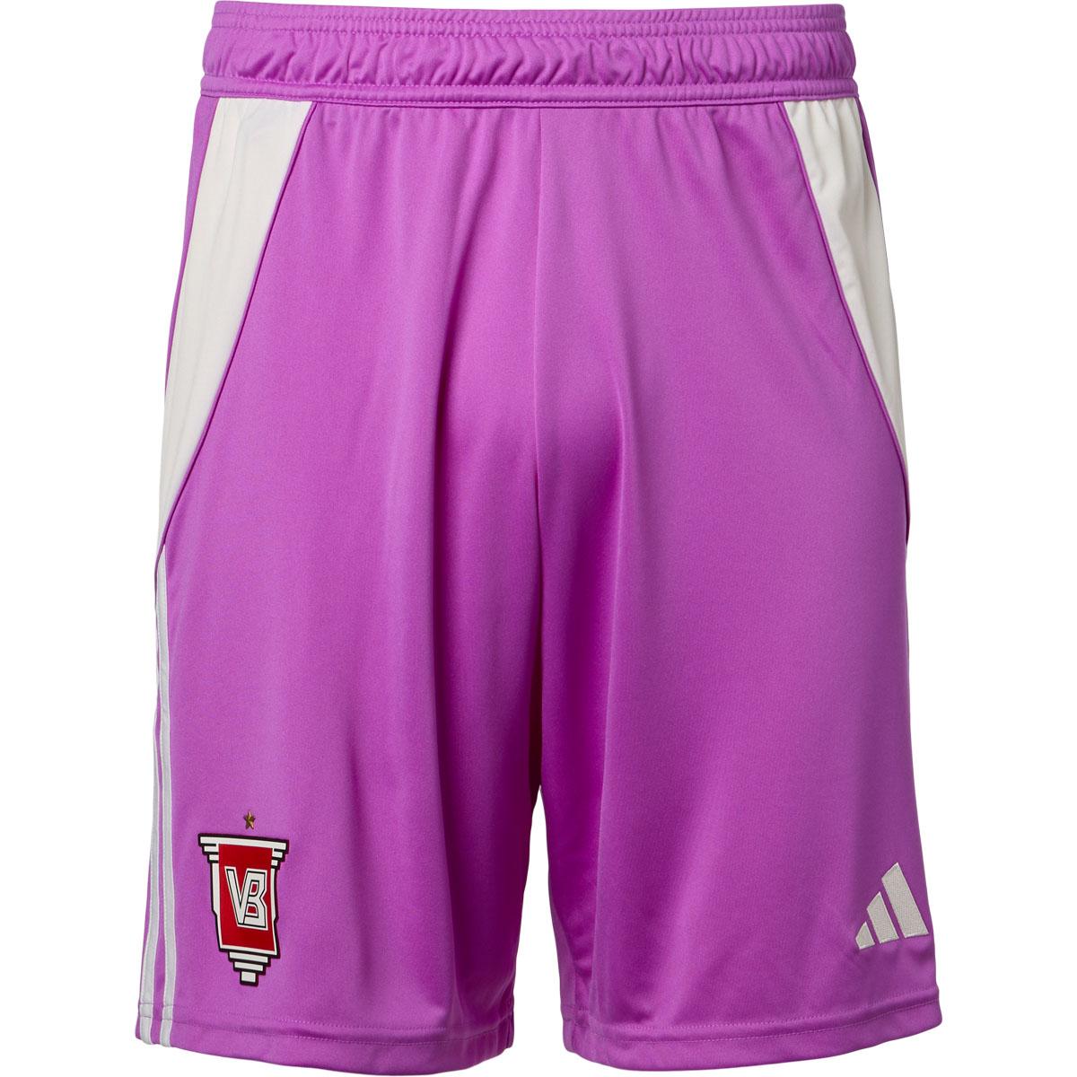 Vejle Boldklub 25/26 Målmandsshorts Børn Lilla