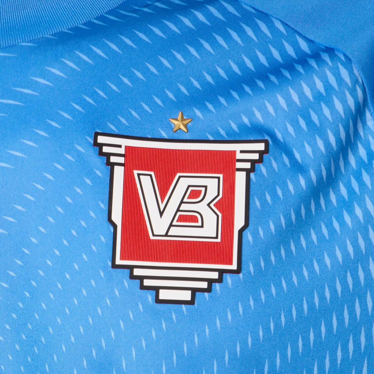 Vejle Boldklub 25/26 Målmandstrøje Blue