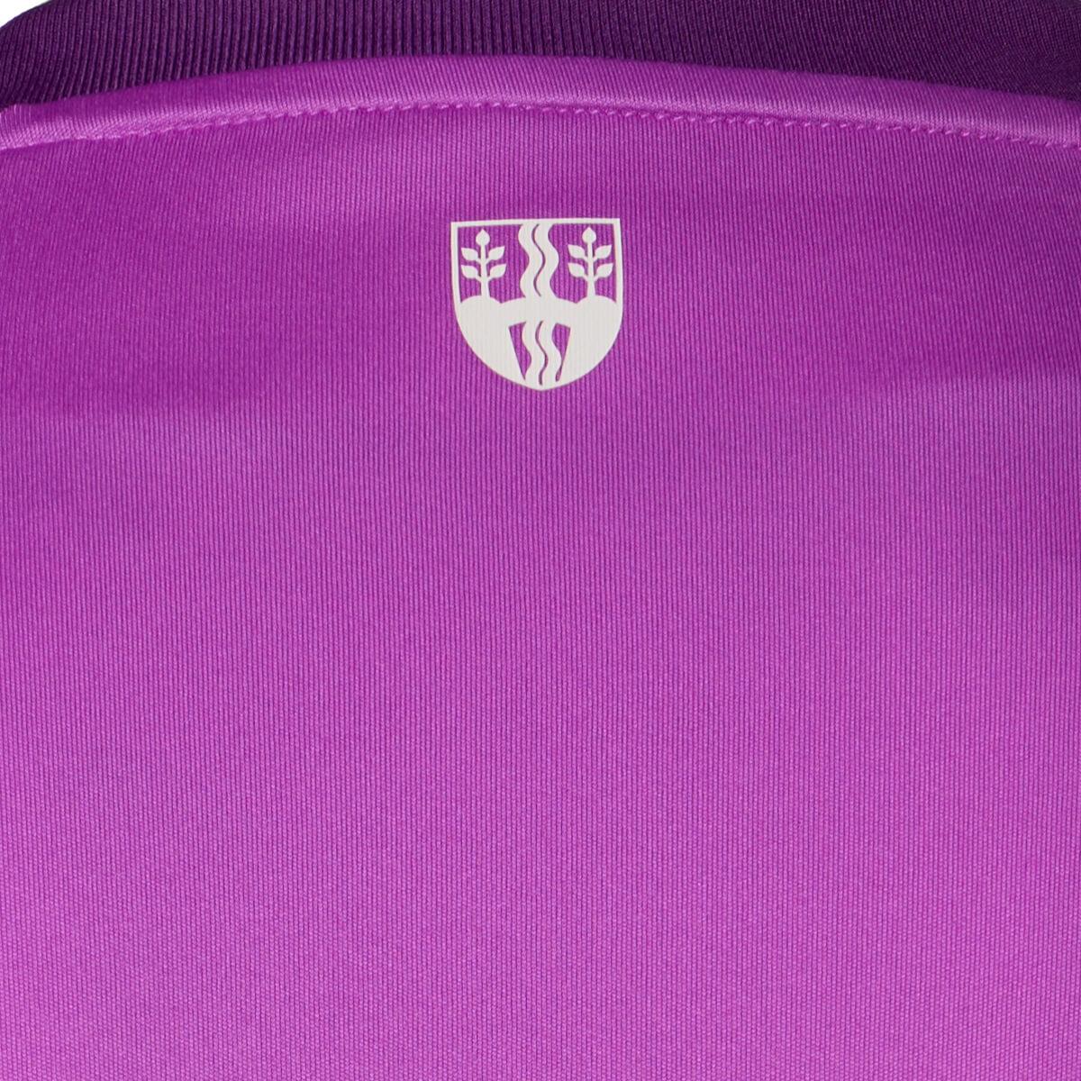 Vejle Boldklub 25/26 Målmandstrøje Lilla