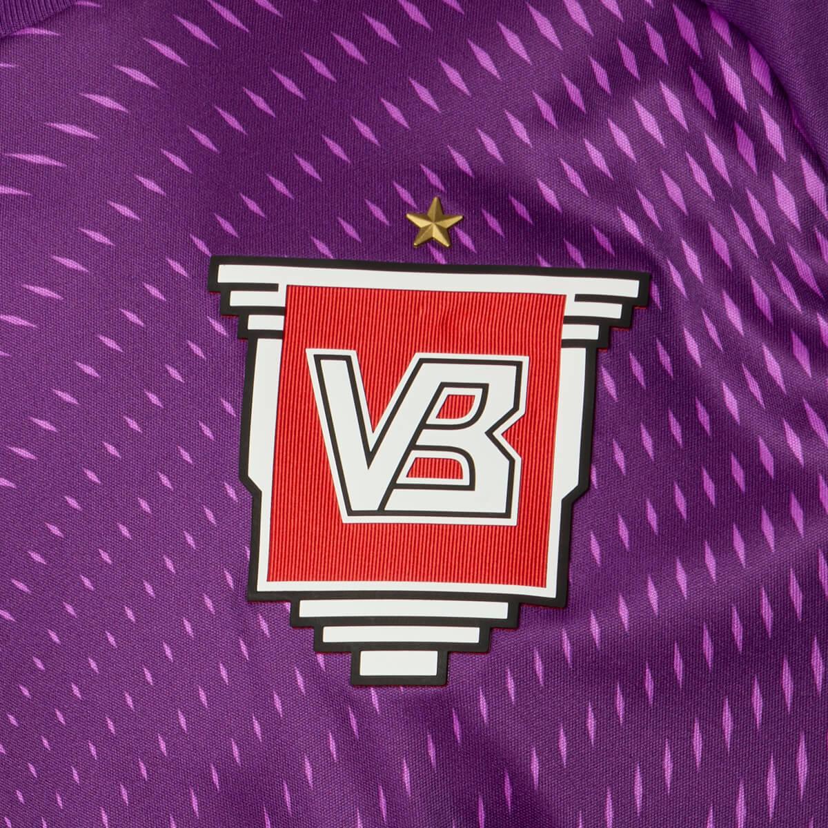 Vejle Boldklub 25/26 Målmandstrøje Børn Purple