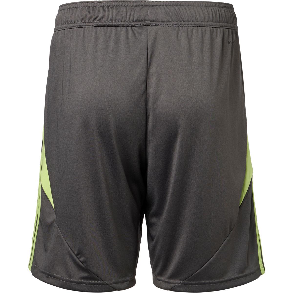 Silkeborg IF 25/26 Målmandsshorts Grey