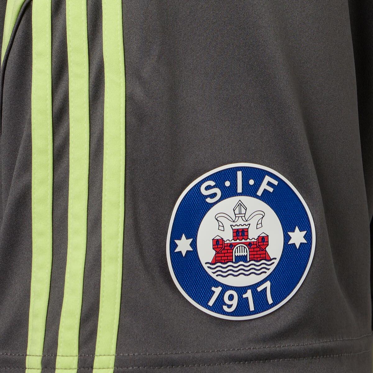 Silkeborg IF 25/26 Målmandsshorts Grey