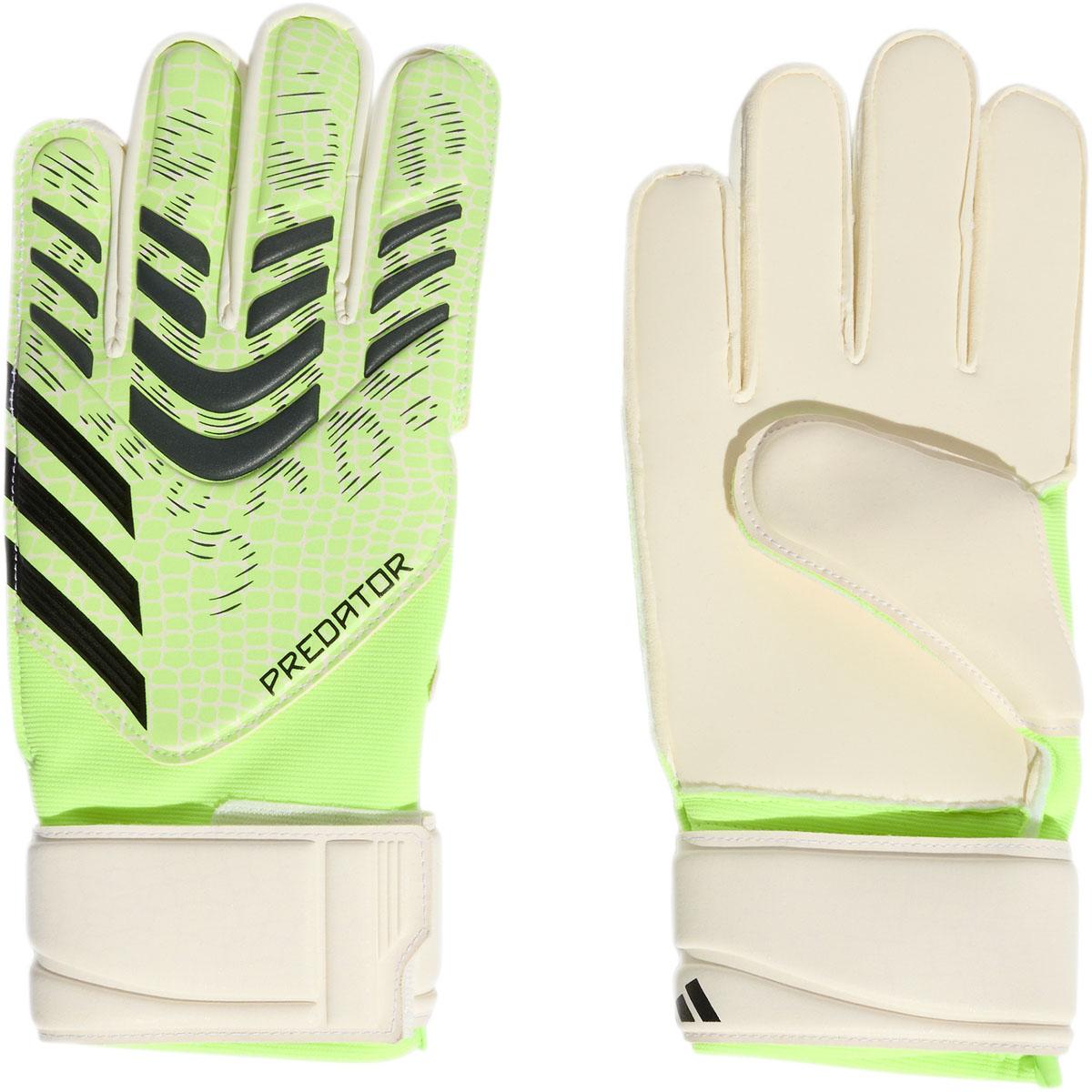 adidas Predator Match Målmandshandsker Green