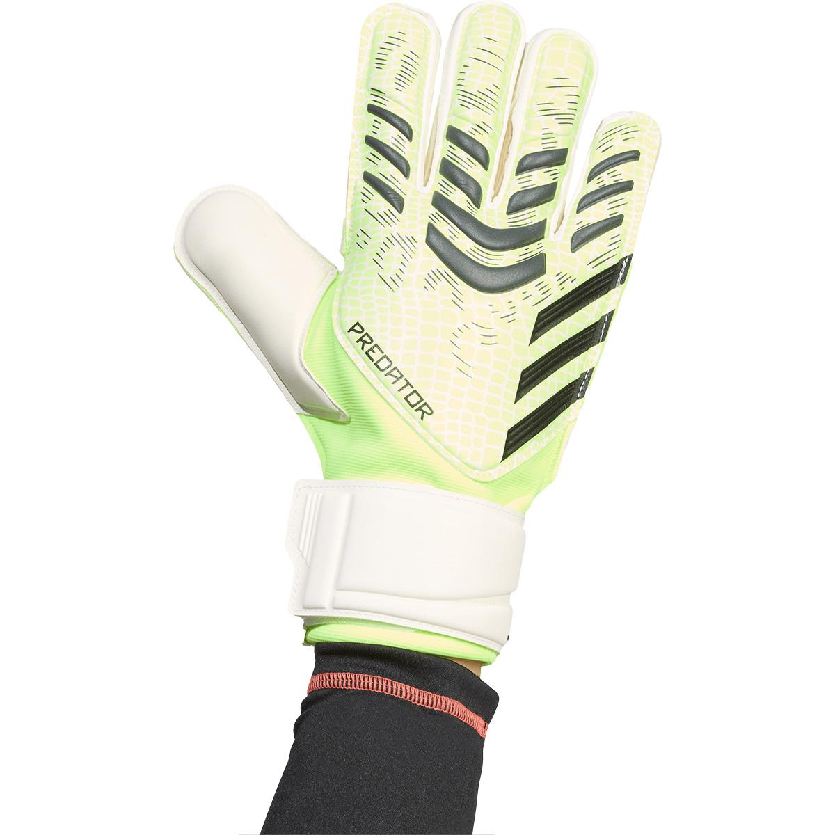 adidas Predator Match Målmandshandsker Green