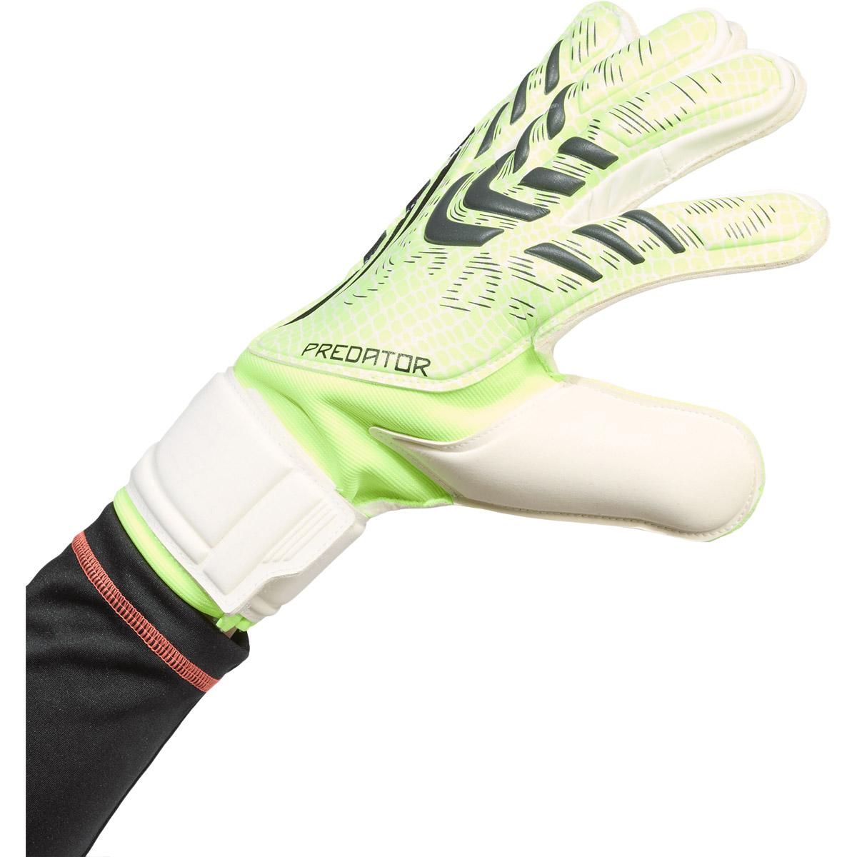 adidas Predator Match Målmandshandsker Green