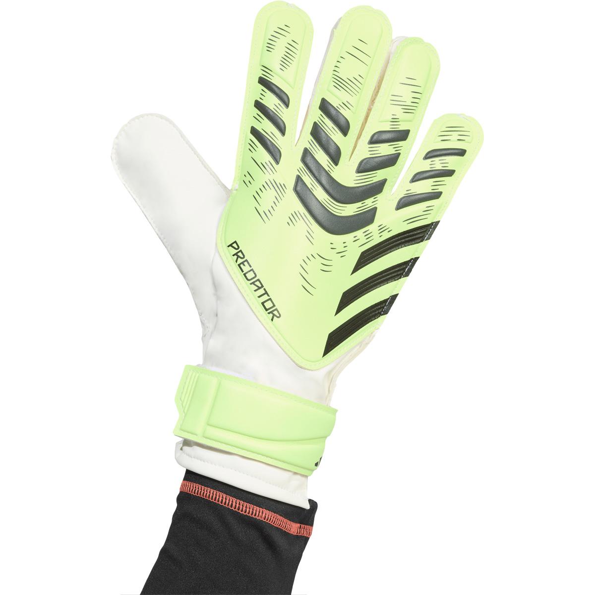 adidas Predator Training Målmandshandsker Green