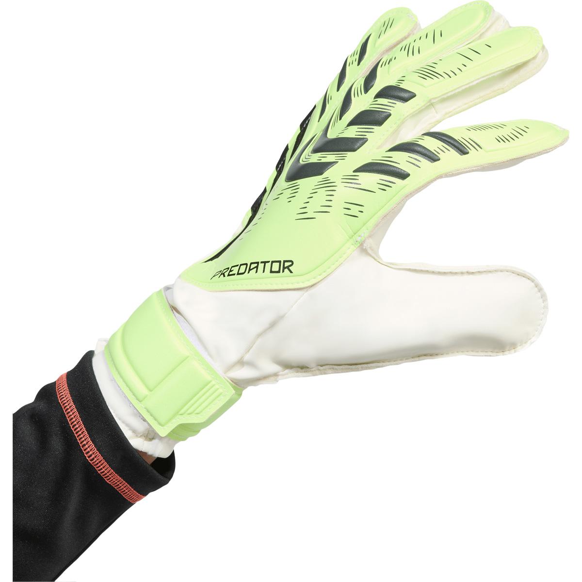 adidas Predator Training Målmandshandsker Green
