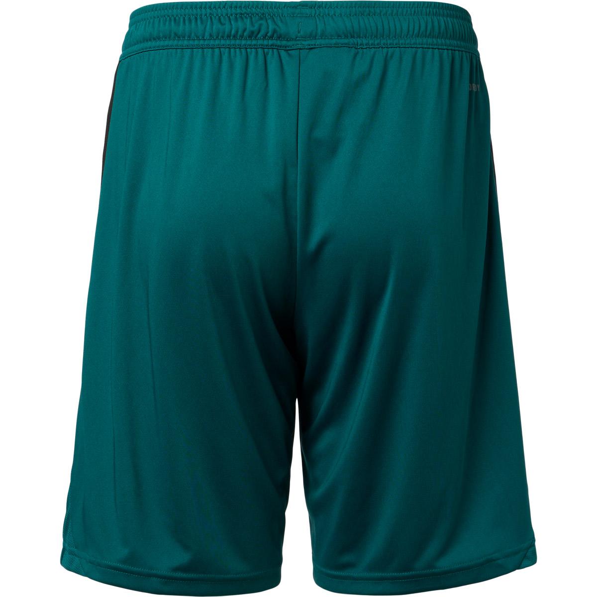 Vejle Boldklub 25/26 Udebaneshorts Green