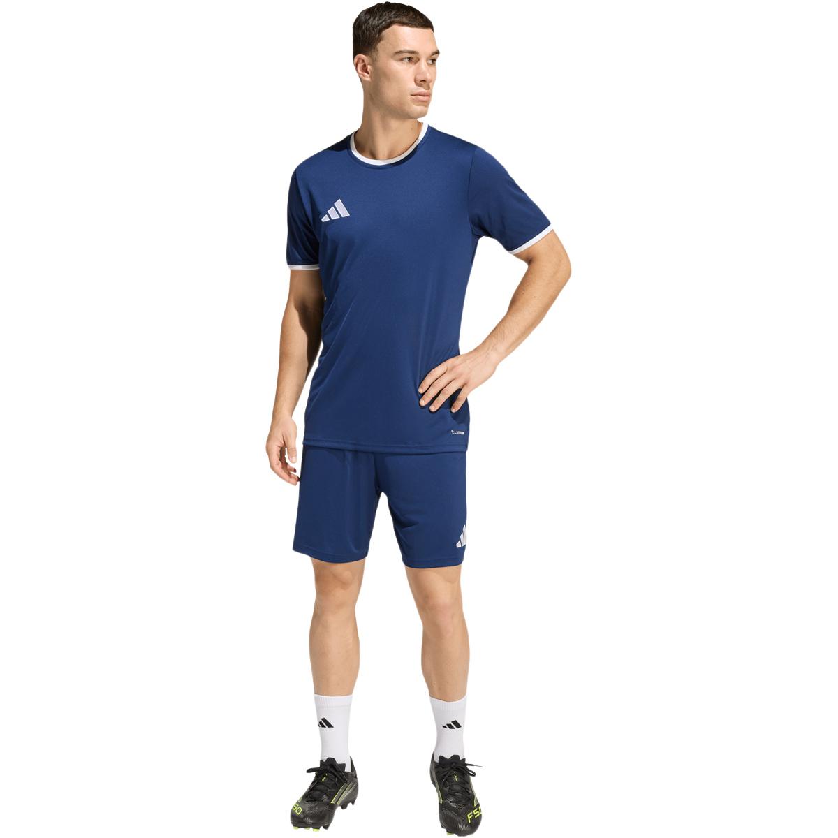 adidas Entrada 26 Træningsshorts Herre TENABL/WHITE