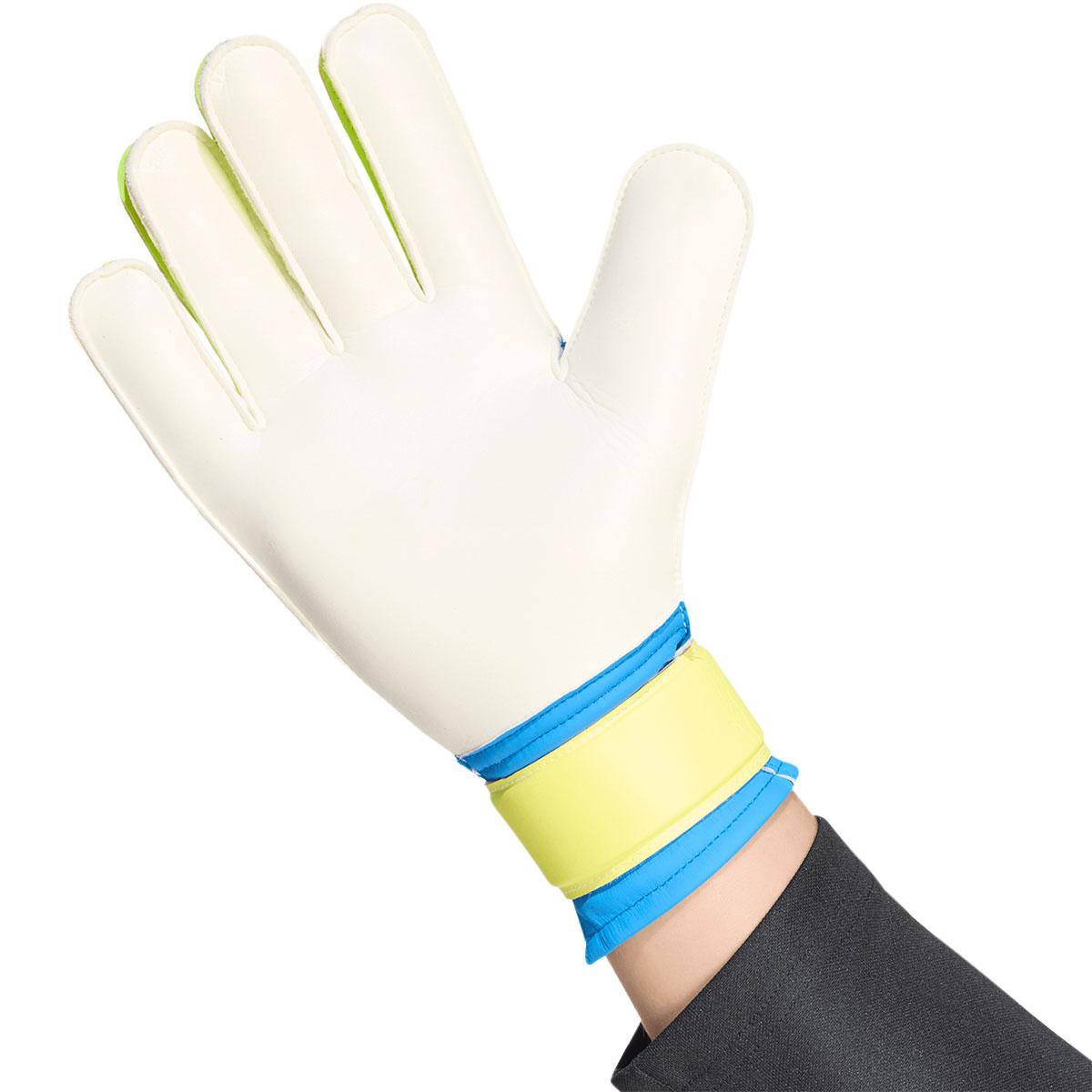 adidas Predator Training Målmandshandsker Blue