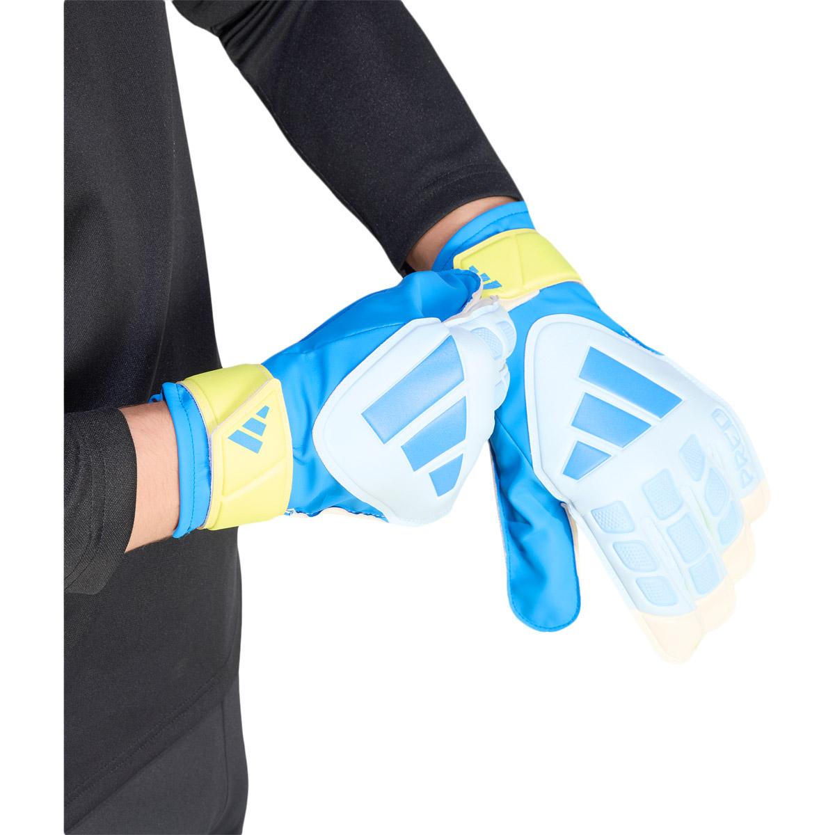 adidas Predator Training Målmandshandsker Blue