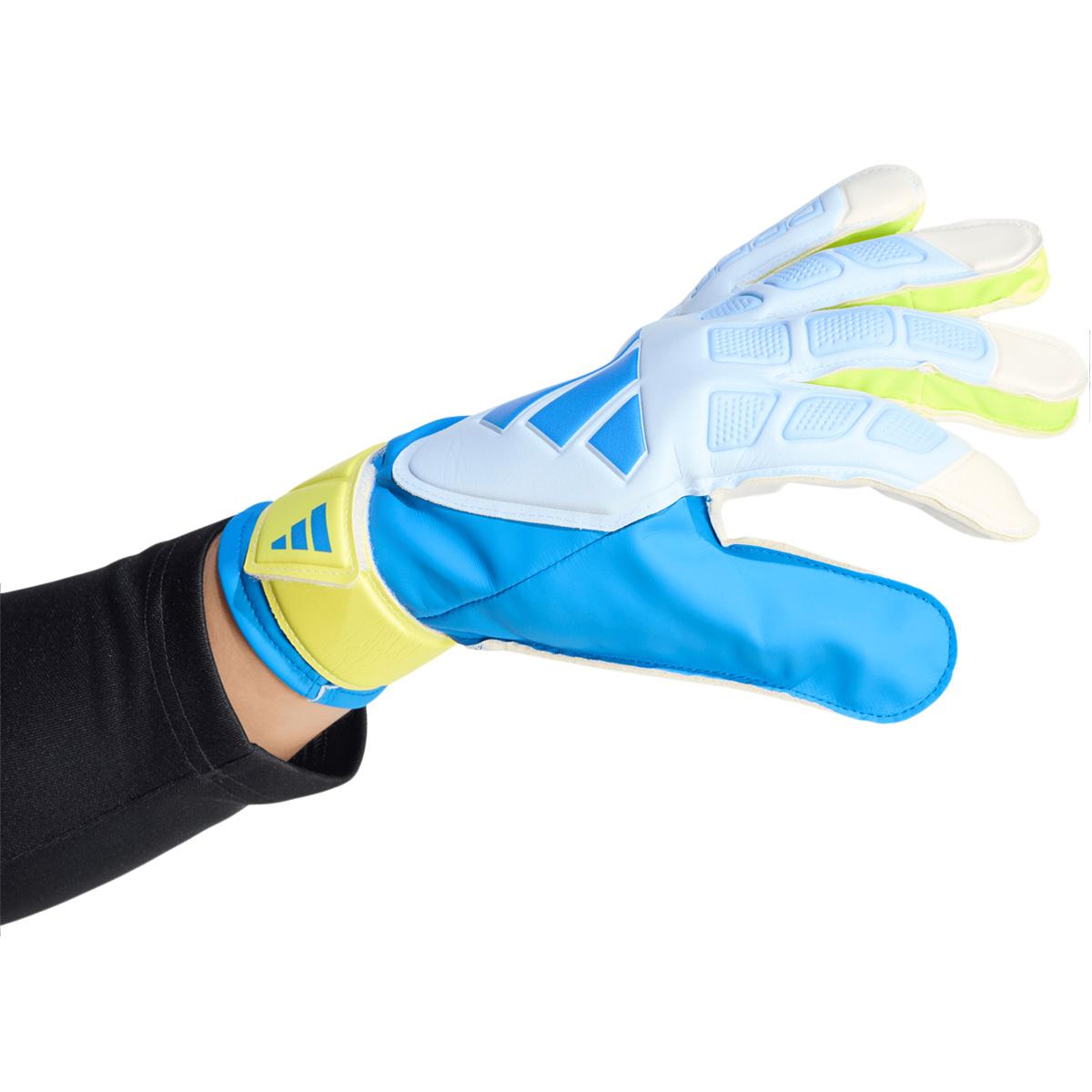 adidas Predator Training Målmandshandsker Blue