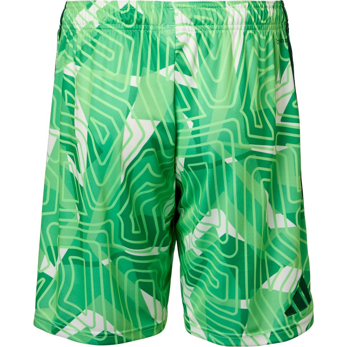 Vejle Boldklub 26/27 Målmandsshorts Børn Green